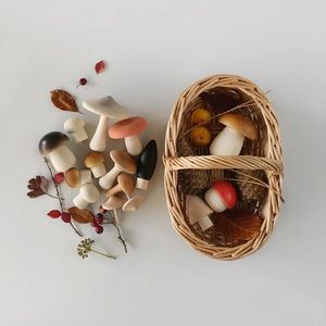 Moon Picnic EUC Forest Mushrooms Basket Toy